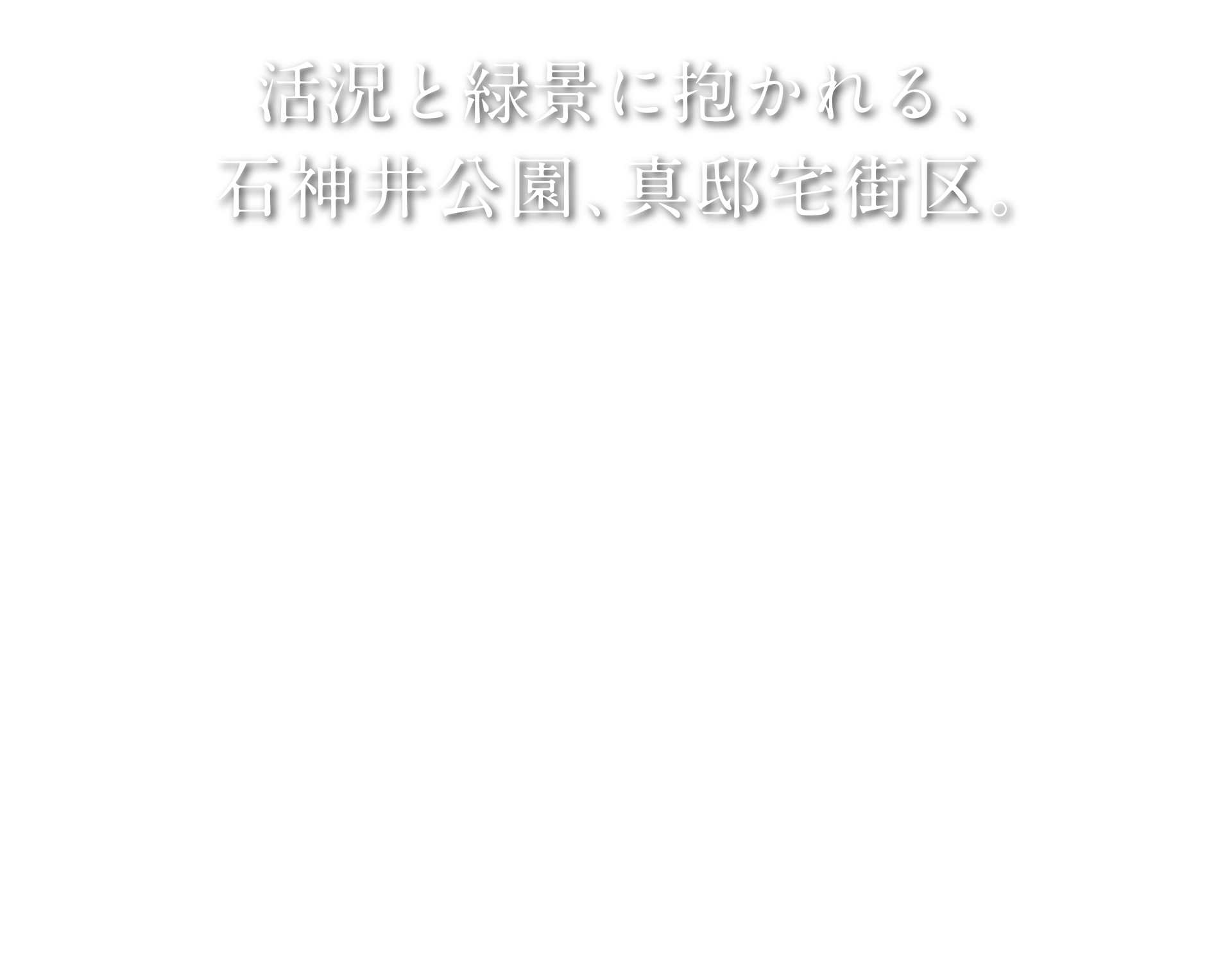 活況と緑景に抱かれる、石神井公園、真邸宅街区。