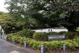 むくのき公園