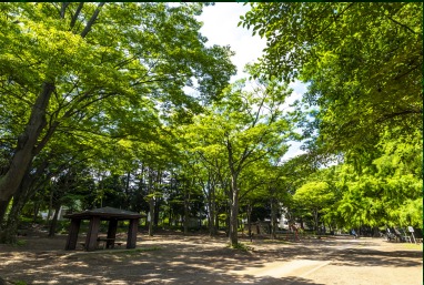 緑に包まれたベンチ