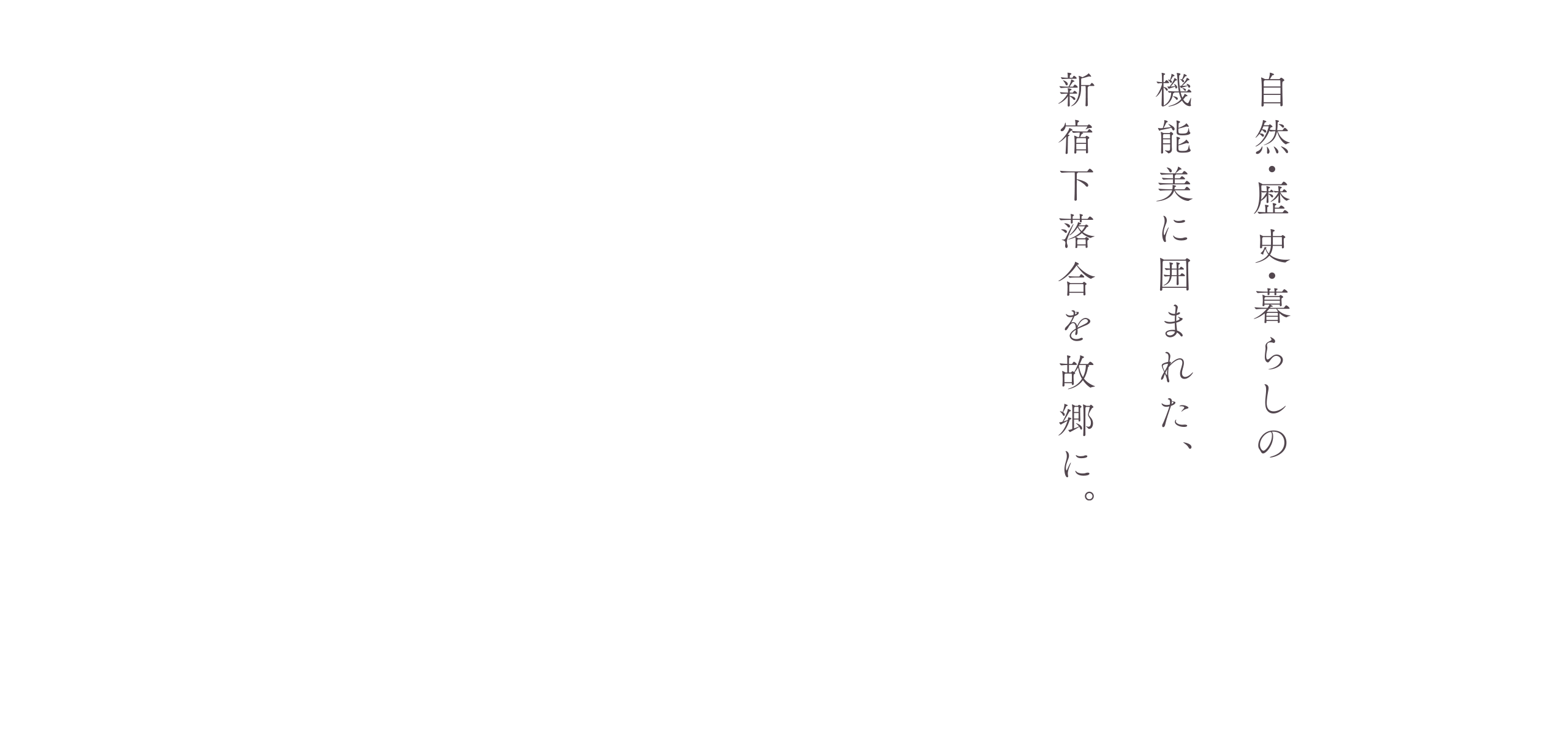 自然・歴史・暮らしの機能美に囲まれた、新宿下落合を故郷に。