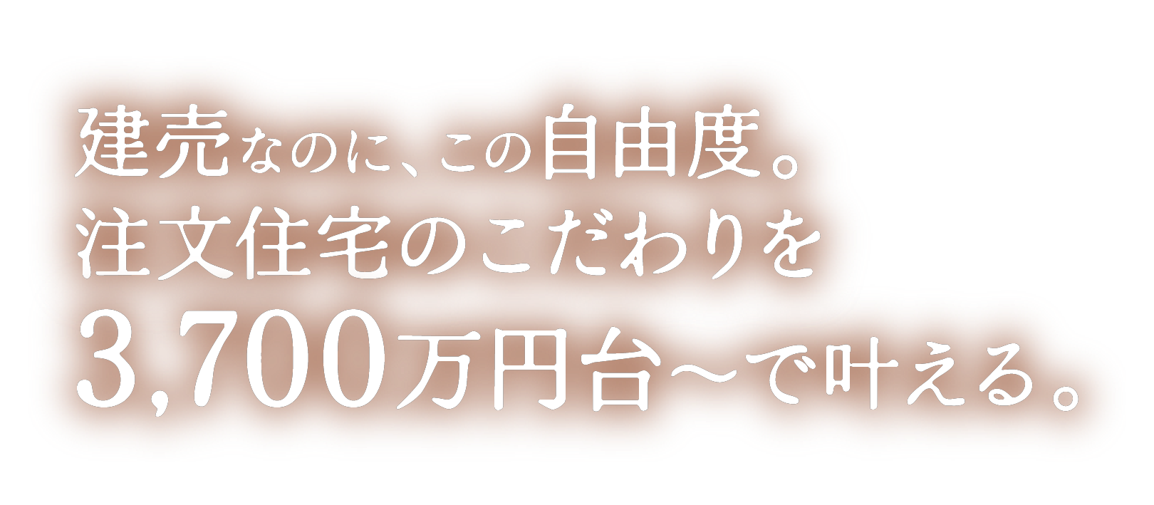 3月末入居可 建売なのに、この自由度